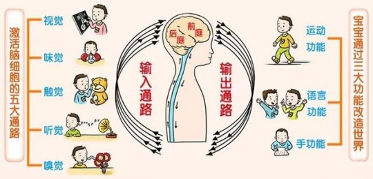 感統失調是個什么鬼？